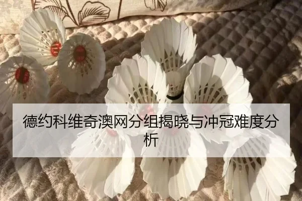 de-yue-ke-wei-qi-ao-wang-fen-zu-jie-xiao-yu-chong-guan-nan-du-fen-xi-1-488.jpg